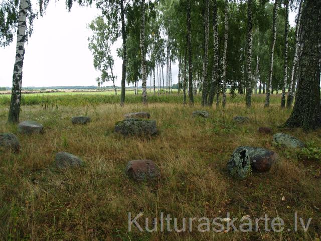 Tūjas dobumakmens. Foto J. Urtāns